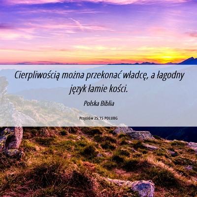 Picture 06 - Przysłów 25:15 POLUBG - Cierpliwością można przekonać władcę, a - Bible Verse Picture