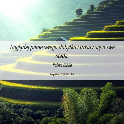 Picture 06 - Przysłów 27:23 POLUBG - Doglądaj pilnie swego dobytku i troszcz się o - Bible Verse Picture