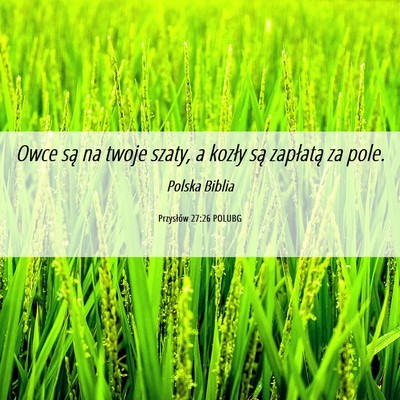 Picture 06 - Przysłów 27:26 POLUBG - Owce są na twoje szaty, a kozły są zapłatą - Bible Verse Picture