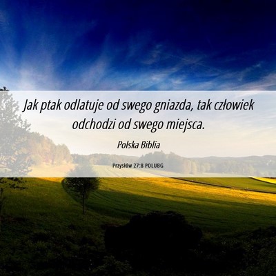 Picture 06 - Przysłów 27:8 POLUBG - Jak ptak odlatuje od swego gniazda, tak człowiek - Bible Verse Picture