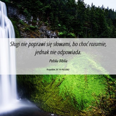 Picture 06 - Przysłów 29:19 POLUBG - Sługi nie poprawi się słowami, bo choć - Bible Verse Picture