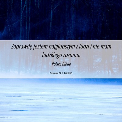 Picture 06 - Przysłów 30:2 POLUBG - Zaprawdę jestem najgłupszym z ludzi i nie mam - Bible Verse Picture