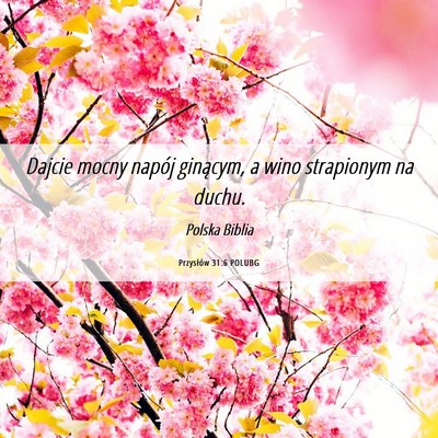 Picture 06 - Przysłów 31:6 POLUBG - Dajcie mocny napój ginącym, a wino strapionym - Bible Verse Picture