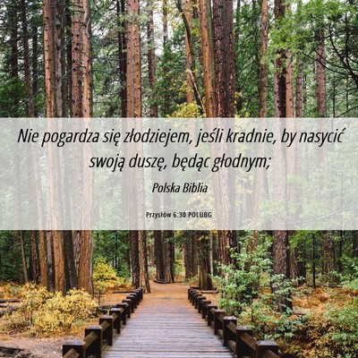 Picture 06 - Przysłów 6:30 POLUBG - Nie pogardza się złodziejem, jeśli kradnie, by - Bible Verse Picture