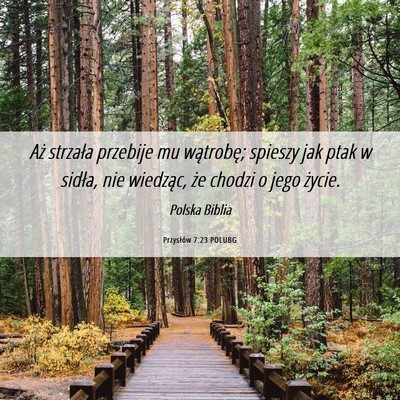 Picture 06 - Przysłów 7:23 POLUBG - Aż strzała przebije mu wątrobę; spieszy jak - Bible Verse Picture