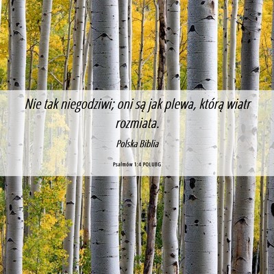 Picture 06 - Psalmów 1:4 POLUBG - Nie tak niegodziwi; oni są jak plewa, którą - Bible Verse Picture