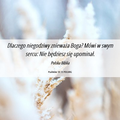 Picture 06 - Psalmów 10:13 POLUBG - Dlaczego niegodziwy znieważa Boga? Mówi w swym - Bible Verse Picture