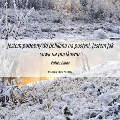 Picture 06 - Psalmów 102:6 POLUBG - Jestem podobny do pelikana na pustyni, jestem jak - Bible Verse Picture