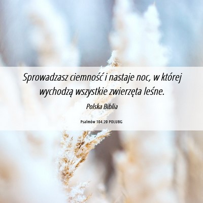 Picture 06 - Psalmów 104:20 POLUBG - Sprowadzasz ciemność i nastaje noc, w której - Bible Verse Picture