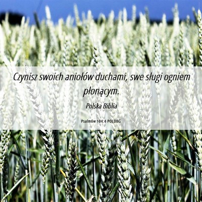 Picture 06 - Psalmów 104:4 POLUBG - Czynisz swoich aniołów duchami, swe sługi - Bible Verse Picture