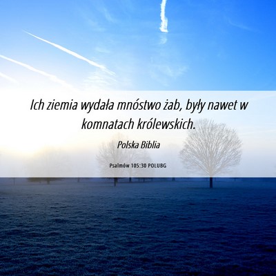 Picture 06 - Psalmów 105:30 POLUBG - Ich ziemia wydała mnóstwo żab, były nawet w - Bible Verse Picture