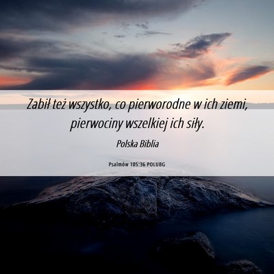 Picture 06 - Psalmów 105:36 POLUBG - Zabił też wszystko, co pierworodne w ich ziemi, - Bible Verse Picture