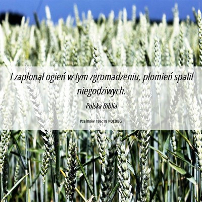Picture 06 - Psalmów 106:18 POLUBG - I zapłonął ogień w tym zgromadzeniu, - Bible Verse Picture