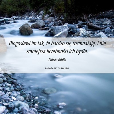 Picture 06 - Psalmów 107:38 POLUBG - Błogosławi im tak, że bardzo się - Bible Verse Picture