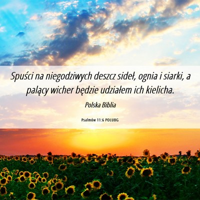 Picture 06 - Psalmów 11:6 POLUBG - Spuści na niegodziwych deszcz sideł, ognia i - Bible Verse Picture