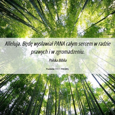 Picture 06 - Psalmów 111:1 POLUBG - Alleluja. Będę wysławiał PANA całym sercem w - Bible Verse Picture