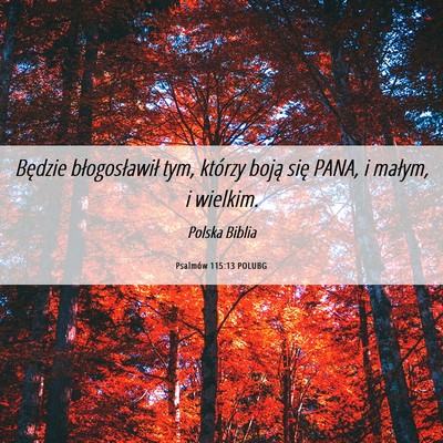 Picture 06 - Psalmów 115:13 POLUBG - Będzie błogosławił tym, którzy boją się - Bible Verse Picture