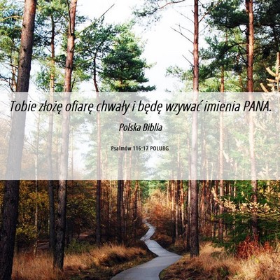 Picture 06 - Psalmów 116:17 POLUBG - Tobie złożę ofiarę chwały i będę wzywać - Bible Verse Picture