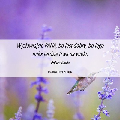 Picture 06 - Psalmów 118:1 POLUBG - Wysławiajcie PANA, bo jest dobry, bo jego - Bible Verse Picture