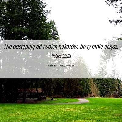 Picture 06 - Psalmów 119:102 POLUBG - Nie odstępuję od twoich nakazów, bo ty mnie - Bible Verse Picture