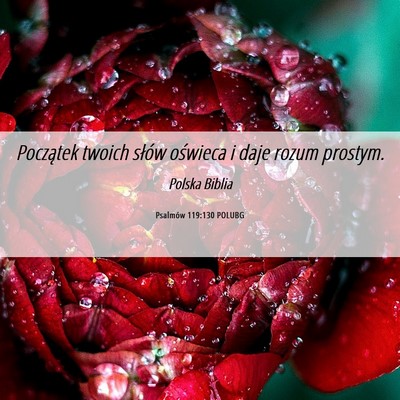 Picture 06 - Psalmów 119:130 POLUBG - Początek twoich słów oświeca i daje rozum - Bible Verse Picture