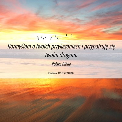 Picture 06 - Psalmów 119:15 POLUBG - Rozmyślam o twoich przykazaniach i przypatruję - Bible Verse Picture