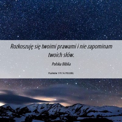 Picture 06 - Psalmów 119:16 POLUBG - Rozkoszuję się twoimi prawami i nie zapominam - Bible Verse Picture