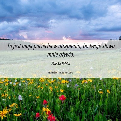 Picture 06 - Psalmów 119:50 POLUBG - To jest moja pociecha w utrapieniu, bo twoje - Bible Verse Picture