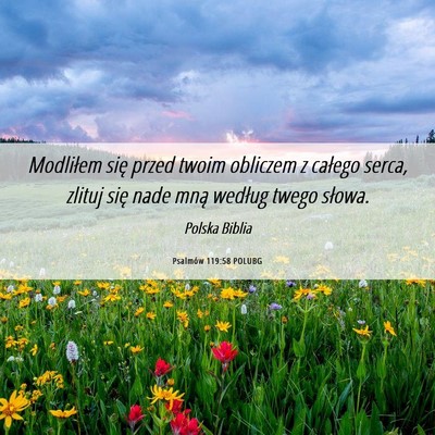 Picture 06 - Psalmów 119:58 POLUBG - Modliłem się przed twoim obliczem z całego - Bible Verse Picture