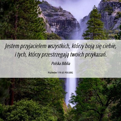 Picture 06 - Psalmów 119:63 POLUBG - Jestem przyjacielem wszystkich, którzy boją - Bible Verse Picture