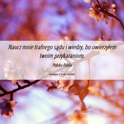 Picture 06 - Psalmów 119:66 POLUBG - Naucz mnie trafnego sądu i wiedzy, bo - Bible Verse Picture