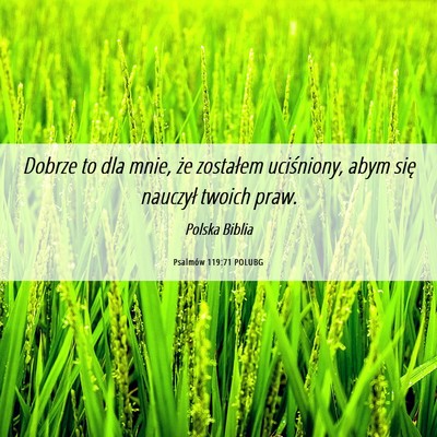 Picture 06 - Psalmów 119:71 POLUBG - Dobrze to dla mnie, że zostałem uciśniony, - Bible Verse Picture