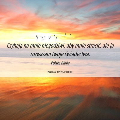 Picture 06 - Psalmów 119:95 POLUBG - Czyhają na mnie niegodziwi, aby mnie stracić, - Bible Verse Picture
