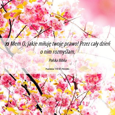 Picture 06 - Psalmów 119:97 POLUBG - מ Mem O, jakże miłuję twoje prawo! Przez - Bible Verse Picture