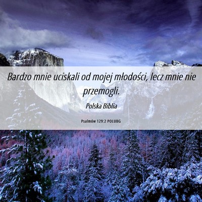 Picture 06 - Psalmów 129:2 POLUBG - Bardzo mnie uciskali od mojej młodości, lecz - Bible Verse Picture