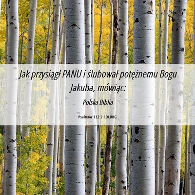 Picture 06 - Psalmów 132:2 POLUBG - Jak przysiągł PANU i ślubował potężnemu - Bible Verse Picture
