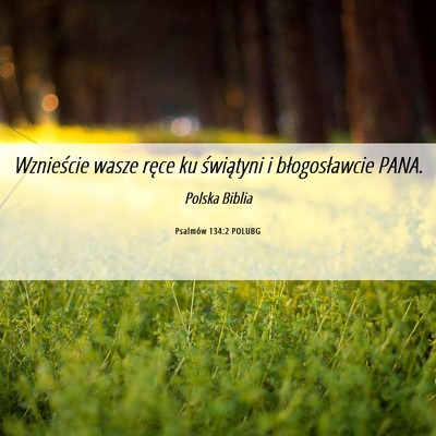 Picture 06 - Psalmów 134:2 POLUBG - Wznieście wasze ręce ku świątyni i - Bible Verse Picture