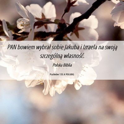 Picture 06 - Psalmów 135:4 POLUBG - PAN bowiem wybrał sobie Jakuba i Izraela na - Bible Verse Picture