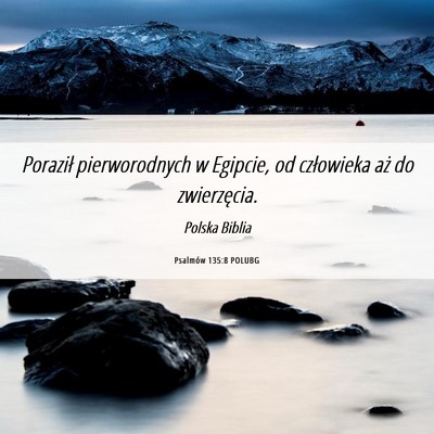 Picture 06 - Psalmów 135:8 POLUBG - Poraził pierworodnych w Egipcie, od człowieka - Bible Verse Picture