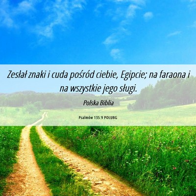 Picture 06 - Psalmów 135:9 POLUBG - Zesłał znaki i cuda pośród ciebie, Egipcie; - Bible Verse Picture
