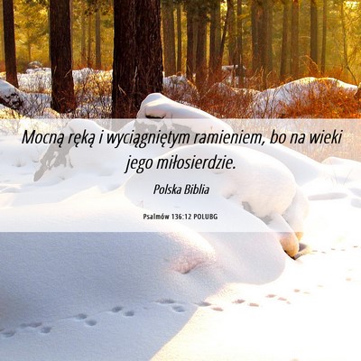 Picture 06 - Psalmów 136:12 POLUBG - Mocną ręką i wyciągniętym ramieniem, bo na - Bible Verse Picture