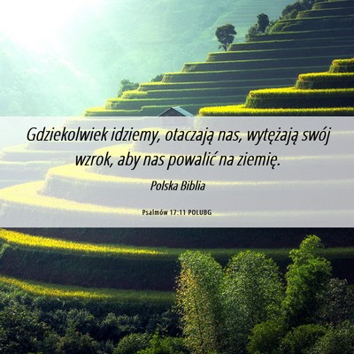 Picture 06 - Psalmów 17:11 POLUBG - Gdziekolwiek idziemy, otaczają nas, wytężają - Bible Verse Picture