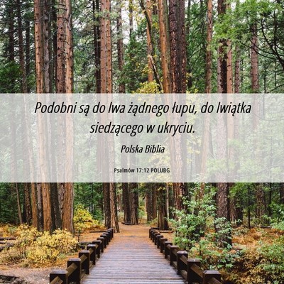 Picture 06 - Psalmów 17:12 POLUBG - Podobni są do lwa żądnego łupu, do lwiątka - Bible Verse Picture