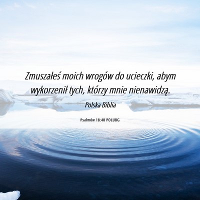 Picture 06 - Psalmów 18:40 POLUBG - Zmuszałeś moich wrogów do ucieczki, abym - Bible Verse Picture