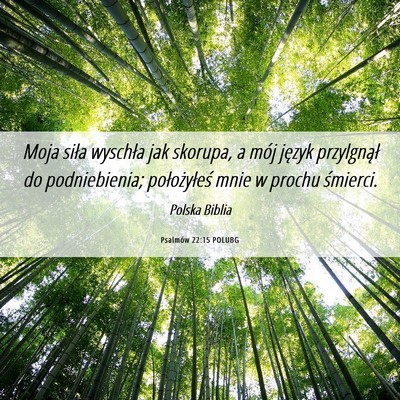 Picture 06 - Psalmów 22:15 POLUBG - Moja siła wyschła jak skorupa, a mój język - Bible Verse Picture