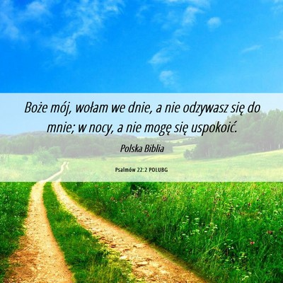 Picture 06 - Psalmów 22:2 POLUBG - Boże mój, wołam we dnie, a nie odzywasz się - Bible Verse Picture