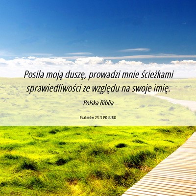 Picture 06 - Psalmów 23:3 POLUBG - Posila moją duszę, prowadzi mnie ścieżkami - Bible Verse Picture