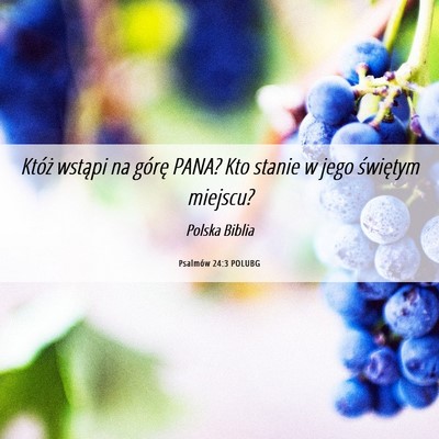 Picture 06 - Psalmów 24:3 POLUBG - Któż wstąpi na górę PANA? Kto stanie w jego - Bible Verse Picture