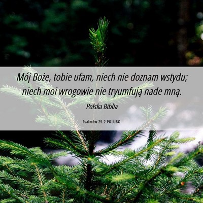 Picture 06 - Psalmów 25:2 POLUBG - Mój Boże, tobie ufam, niech nie doznam wstydu; - Bible Verse Picture