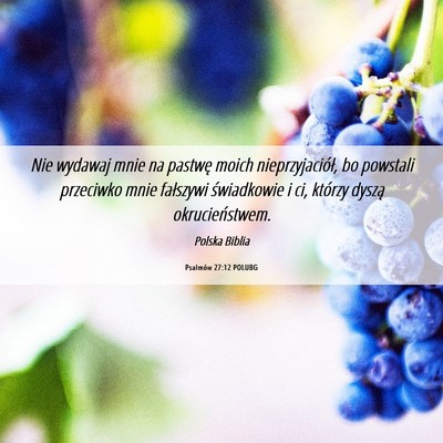 Picture 06 - Psalmów 27:12 POLUBG - Nie wydawaj mnie na pastwę moich - Bible Verse Picture